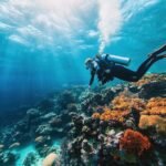 marine biologist diving explore coral reef 1079150 269384