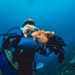montenegro adriatic sea u w photo small octopus diver film scan 857279 11176