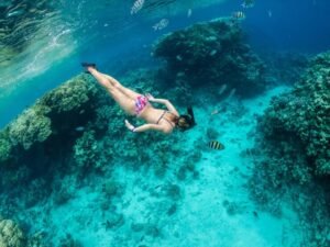 young woman snorkeling coral reef tropical sea 165330 923